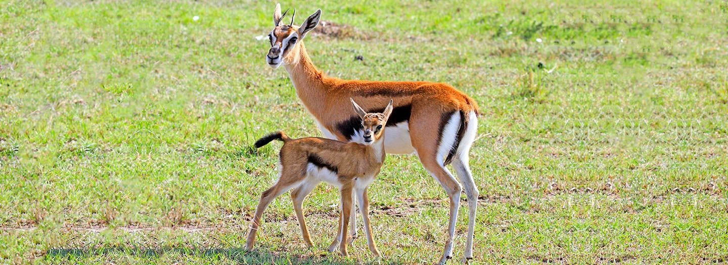 Sibiloi National Park